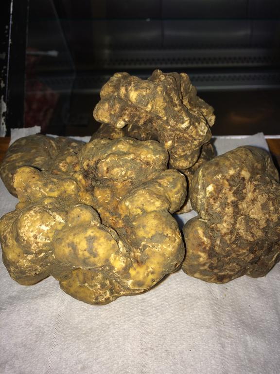 Locanda Dal Sor Francesco فيترالّا المظهر الخارجي الصورة